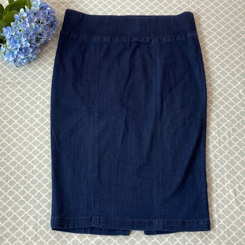Diane Gilman Dark Denim Pencil Midi 2X